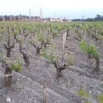 Πανσιόν Chateau Gunes