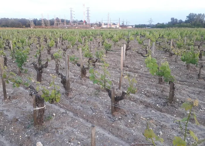 Πανσιόν Chateau Gunes